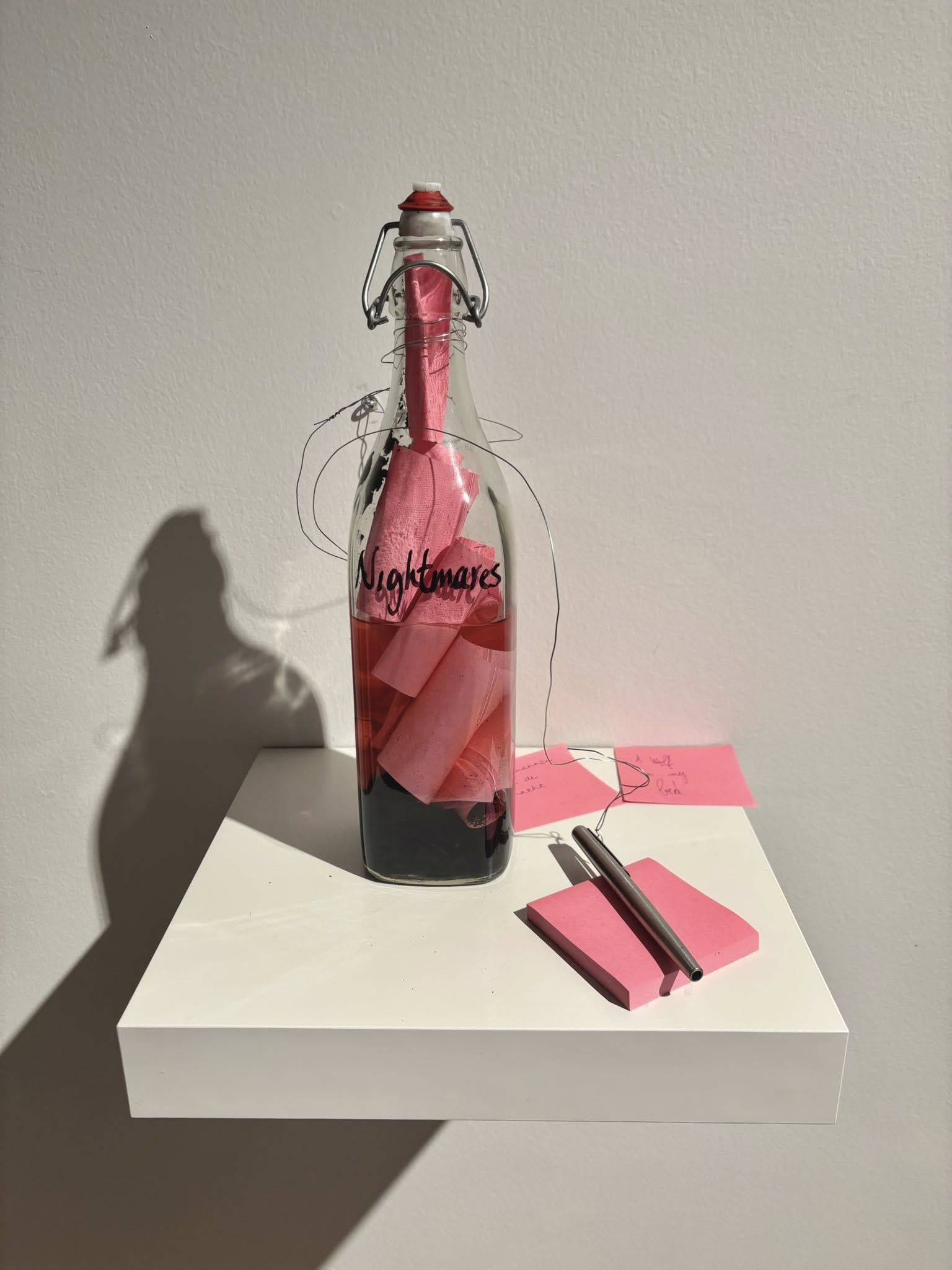 Christine Clinckx - Nightmare bottle 2010